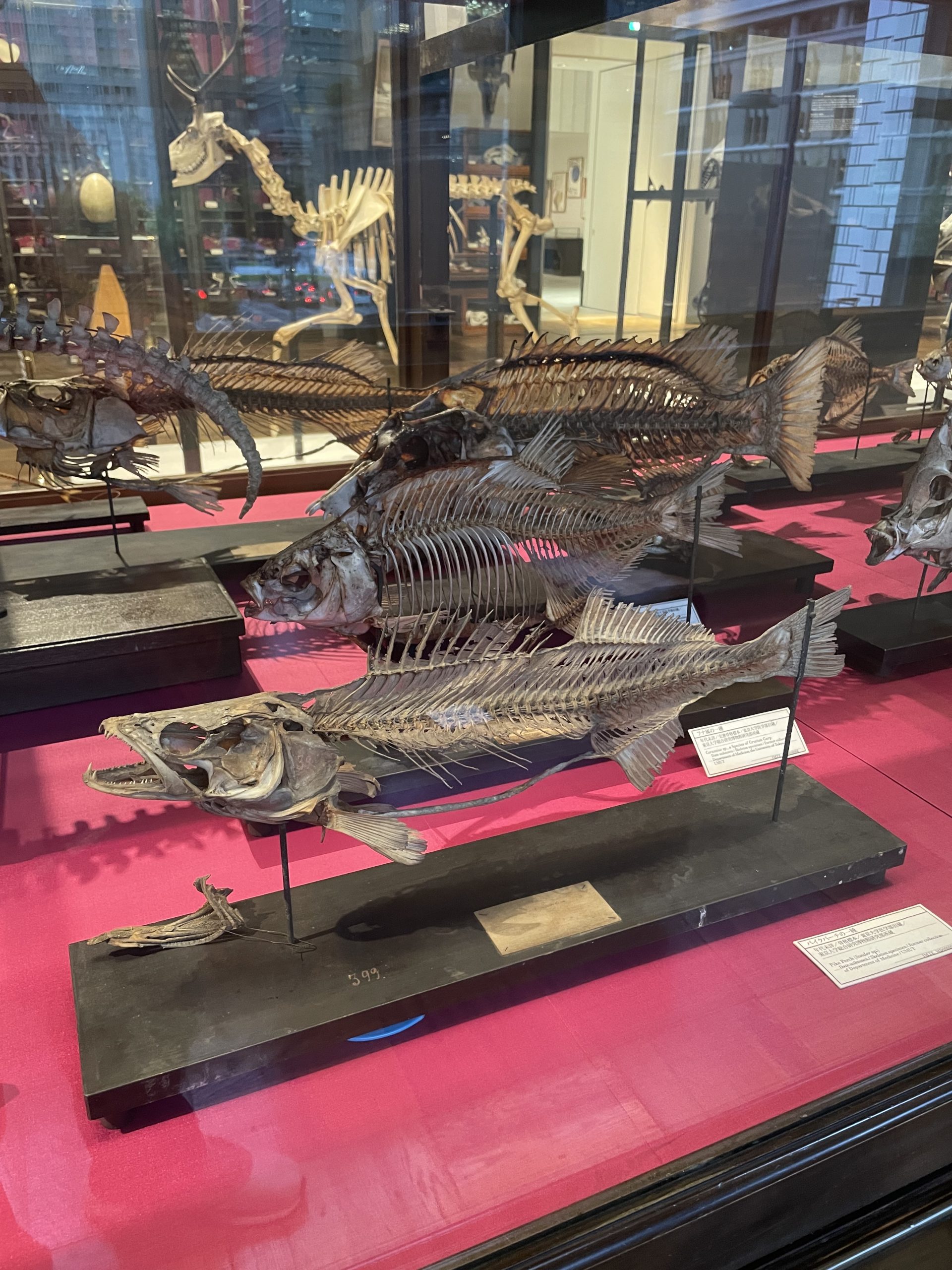 インターメディアテクにいってきた