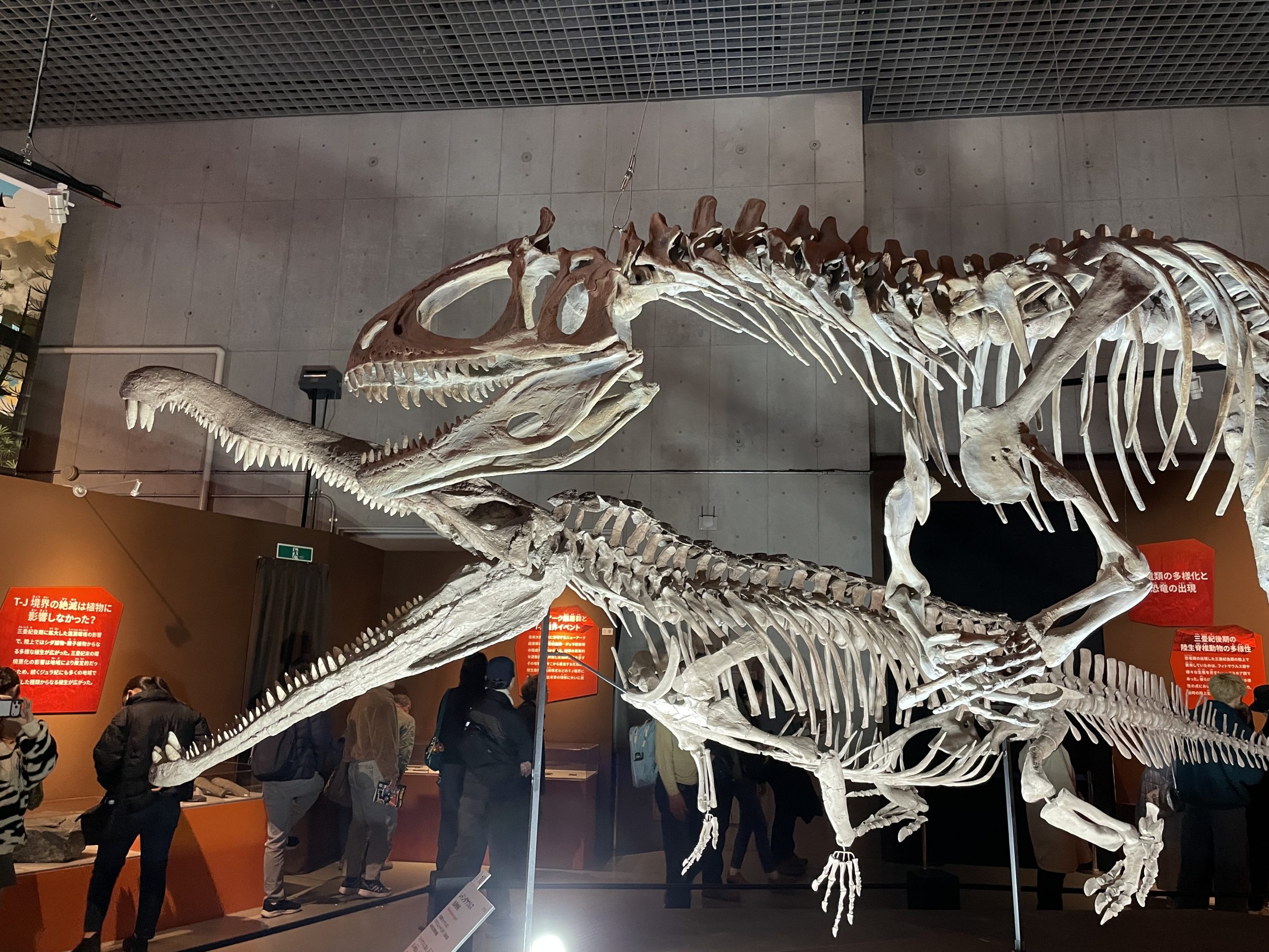 大絶滅展を見てきた