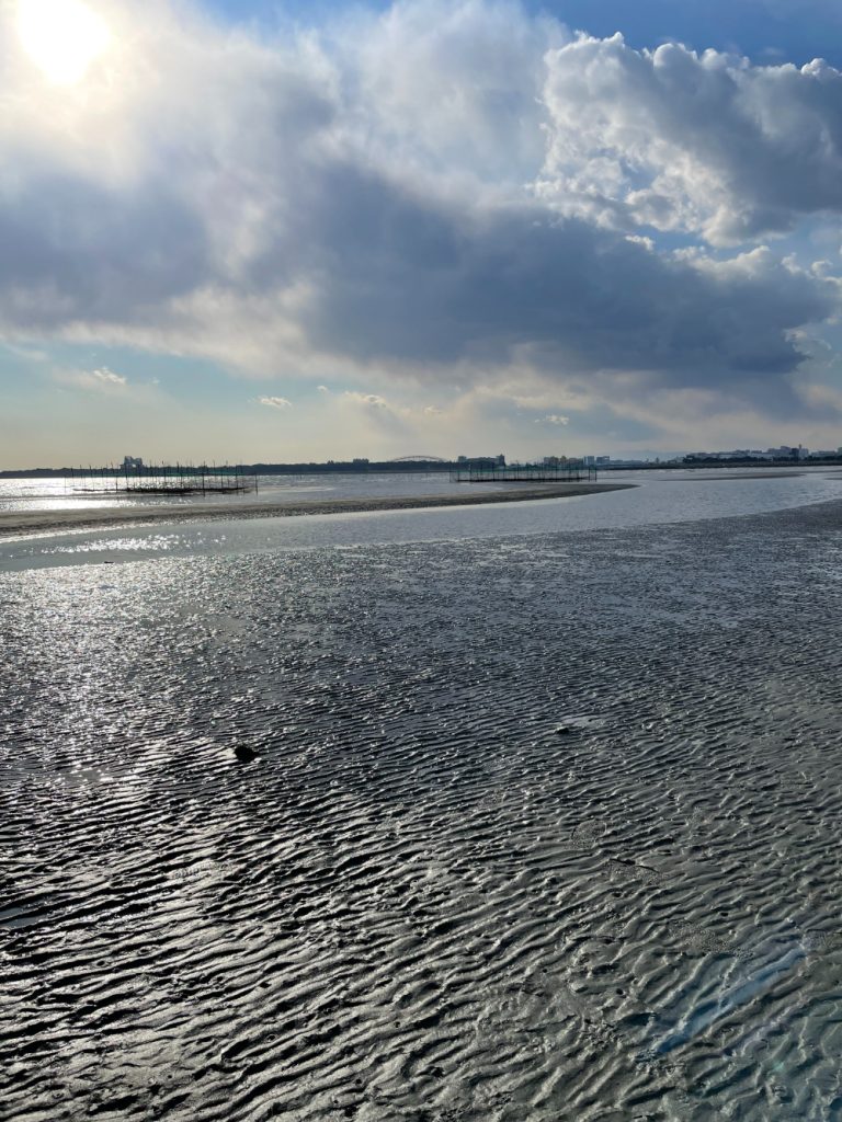 太陽の光が反射する干潟と、波紋のような砂紋（さもん）が広がる海岸の風景