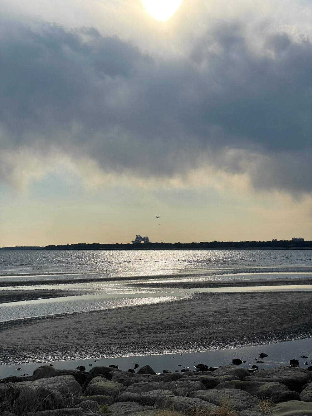 今週も海をみた。