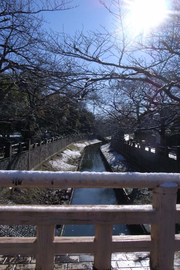 雪が残る冬の川沿いの景色