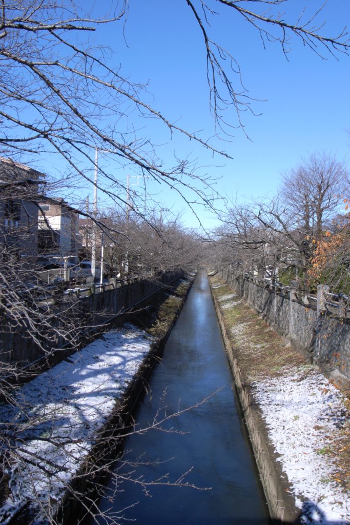 雪が残る冬の川沿いの景色