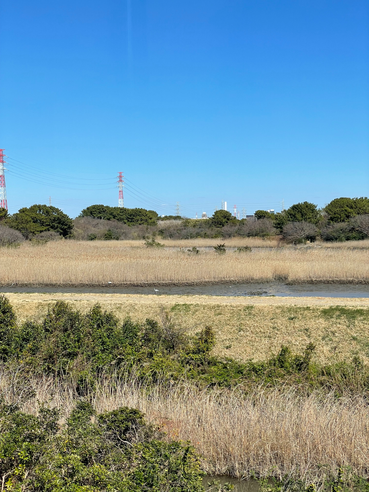 市川市行徳野鳥観察舎「あいねすと」