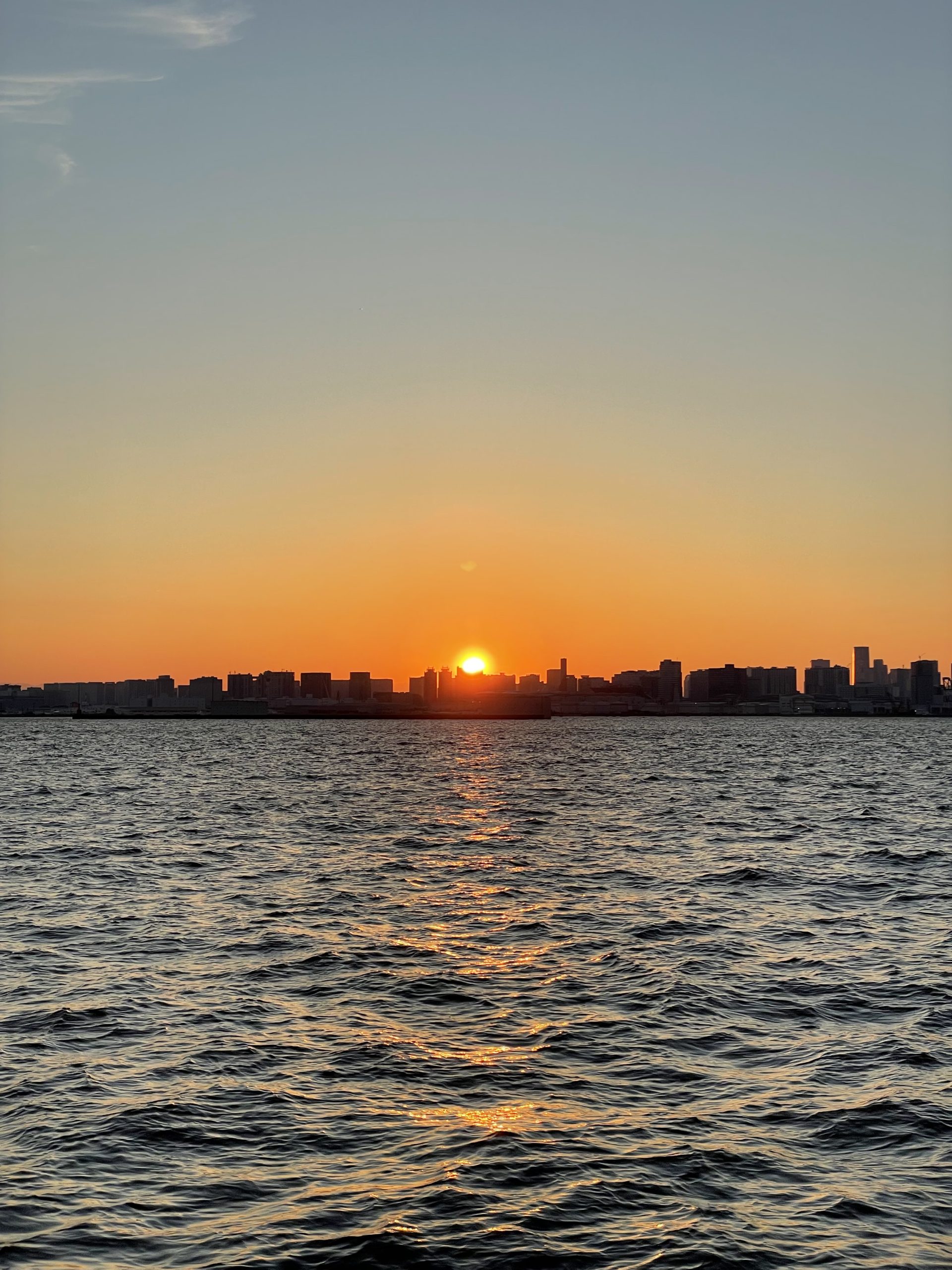 若洲海浜公園で釣りしてきた