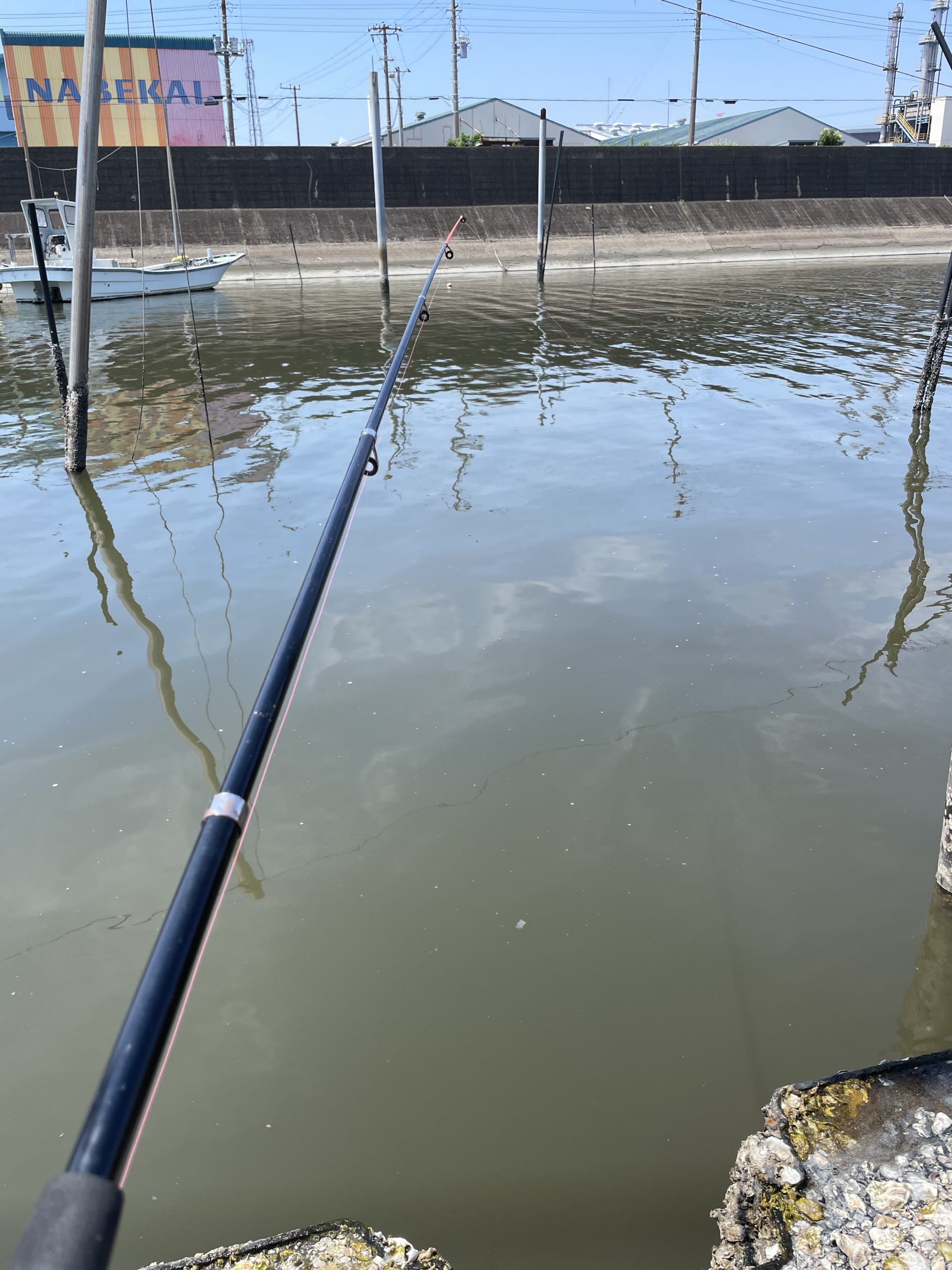 ルアーでハゼ釣り