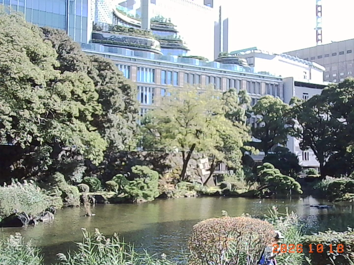 日比谷公園に寄ってみた